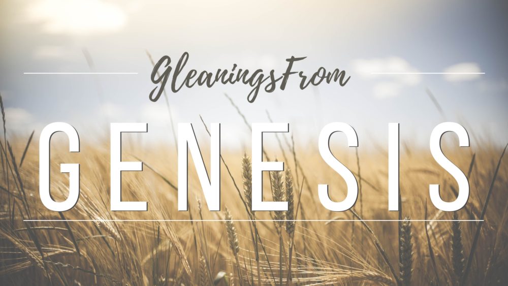 Gleanings From Genesis